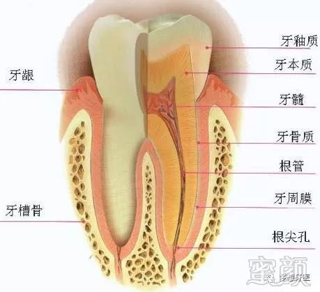 https://img.miyanlife.com/mnt/timg/180404/10440Q937-2.jpg