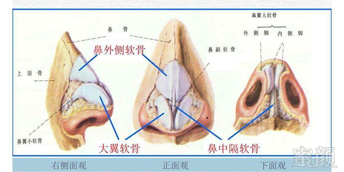 案例图片