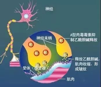 https://img.miyanlife.com/mnt/timg/180405/125915N00-4.jpg