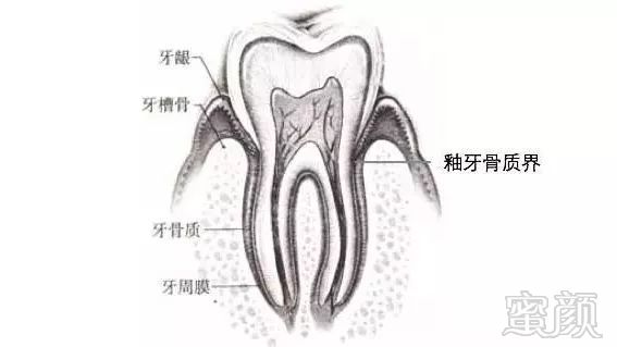 案例图片