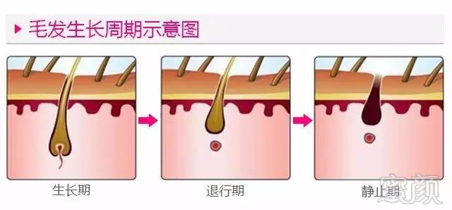 https://img.miyanlife.com/mnt/timg/180405/131Z14409-6.jpg