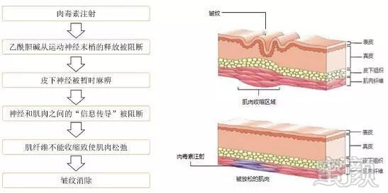 https://img.miyanlife.com/mnt/timg/180405/1331132G0-5.jpg