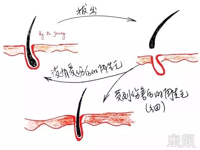 https://img.miyanlife.com/mnt/timg/180407/120P02055-3.jpg