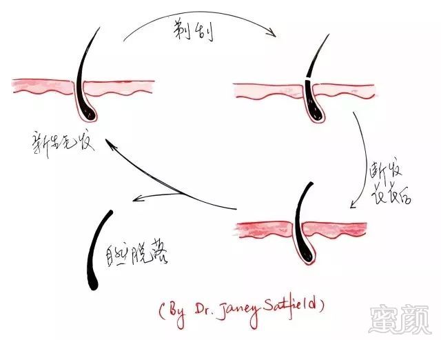 https://img.miyanlife.com/mnt/timg/180407/120P04964-2.jpg