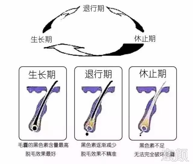 https://img.miyanlife.com/mnt/timg/180408/114P03L7-7.jpg