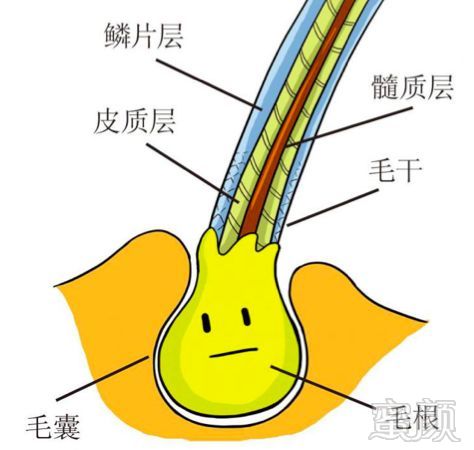 https://img.miyanlife.com/mnt/timg/180408/120622M55-3.jpg