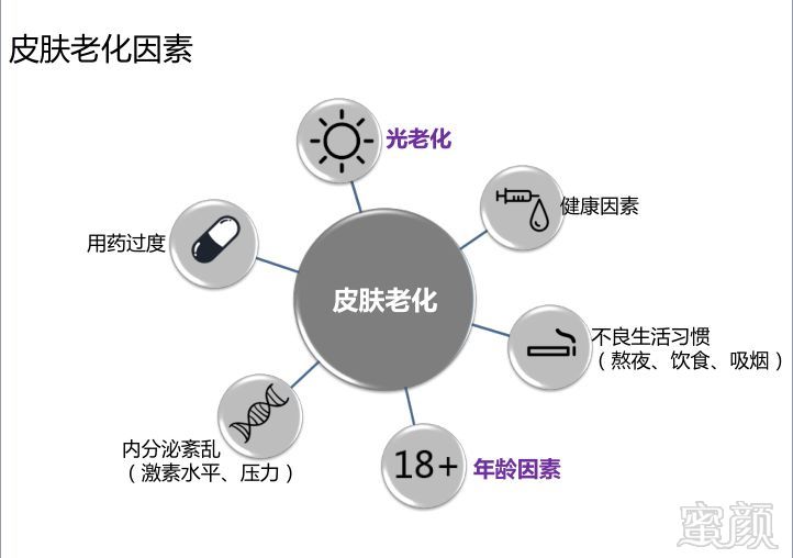 案例图片