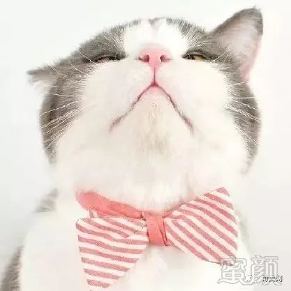 https://img.miyanlife.com/mnt/timg/180409/114333O39-3.jpg
