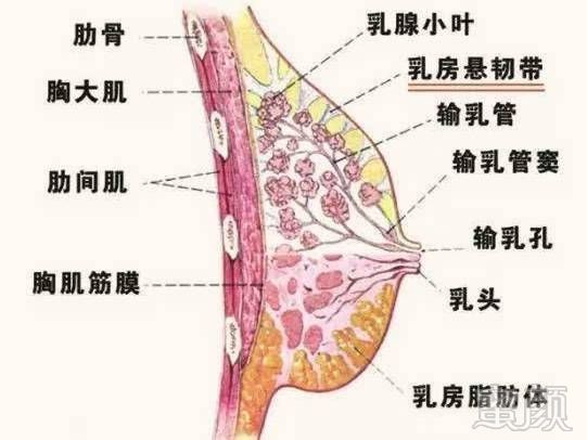 案例图片