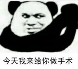 案例图片