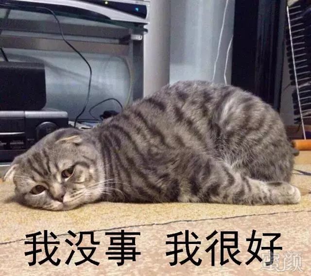 https://img.miyanlife.com/mnt/timg/180410/110H02414-5.jpg