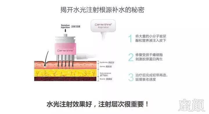 案例图片