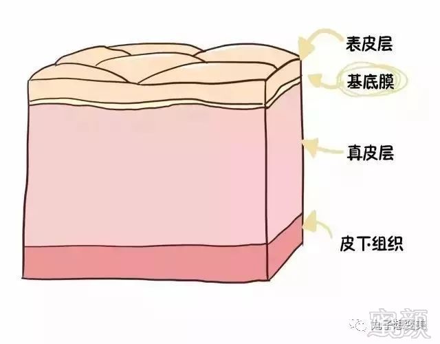 https://img.miyanlife.com/mnt/timg/180411/1102221911-2.jpg