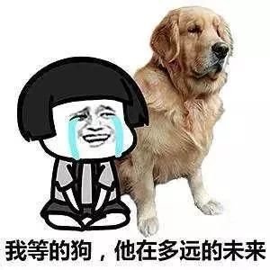 https://img.miyanlife.com/mnt/timg/180411/12030aF7-1.jpg