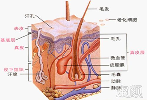 案例图片