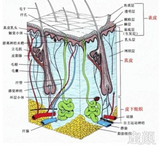https://img.miyanlife.com/mnt/timg/180414/1116054F3-4.jpg