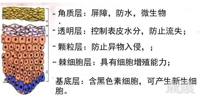 https://img.miyanlife.com/mnt/timg/180414/11160551b-2.jpg