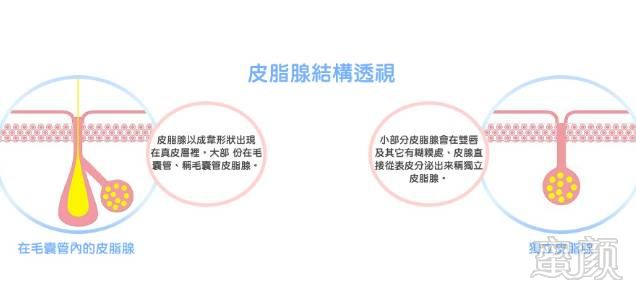 https://img.miyanlife.com/mnt/timg/180414/11160CH6-6.jpg