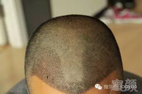 https://img.miyanlife.com/mnt/timg/180414/1334422019-5.jpg