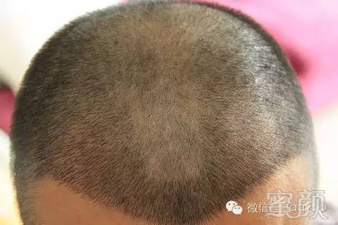https://img.miyanlife.com/mnt/timg/180414/1334424126-7.jpg