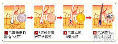 https://img.miyanlife.com/mnt/timg/180418/103R23M9-2.jpg