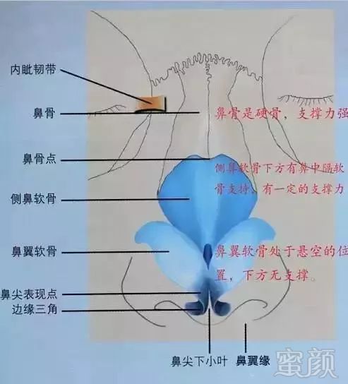 https://img.miyanlife.com/mnt/timg/180424/10561230J-15.jpg