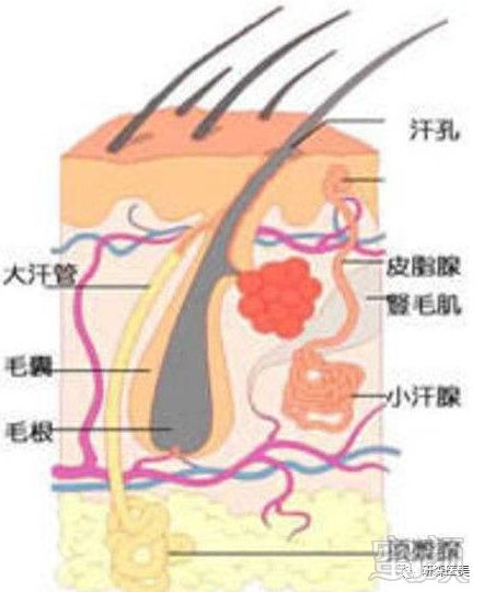 https://img.miyanlife.com/mnt/timg/180424/112PLE0-0.jpg