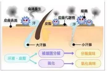 案例图片