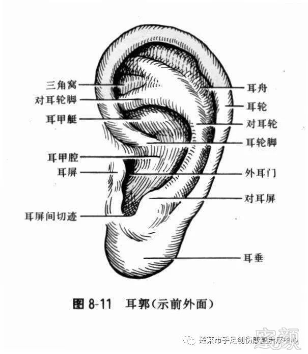 https://img.miyanlife.com/mnt/timg/180426/11452M102-2.jpg
