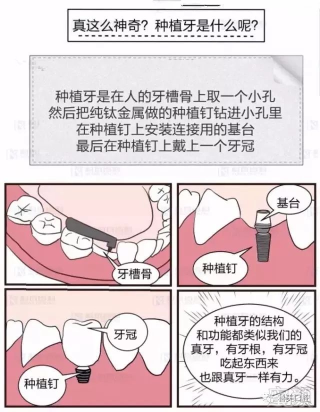 案例图片