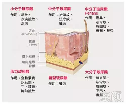 https://img.miyanlife.com/mnt/timg/180426/1250562P8-6.jpg
