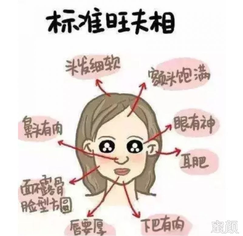 案例图片
