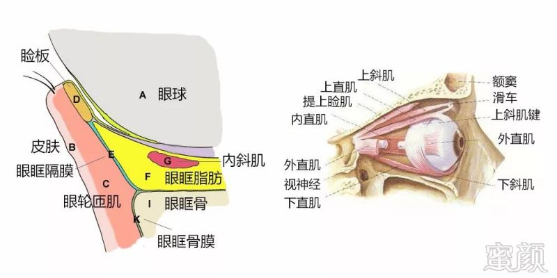 https://img.miyanlife.com/mnt/timg/180428/11115VY6-2.jpg