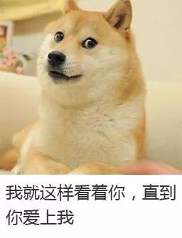 https://img.miyanlife.com/mnt/timg/180428/11162QV9-1.jpg