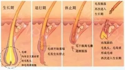 https://img.miyanlife.com/mnt/timg/180429/12510aN6-0.jpg