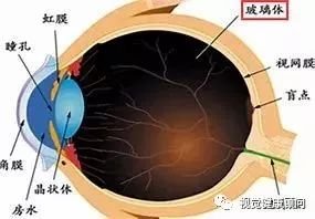 案例图片