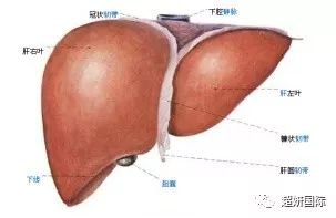 https://img.miyanlife.com/mnt/timg/180430/123J05259-1.jpg
