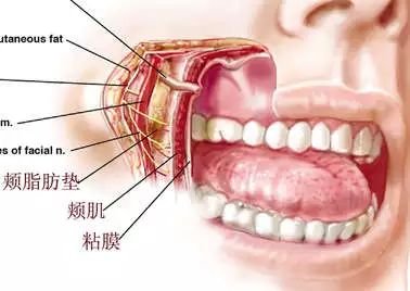 https://img.miyanlife.com/mnt/timg/180501/124U0E63-4.jpg