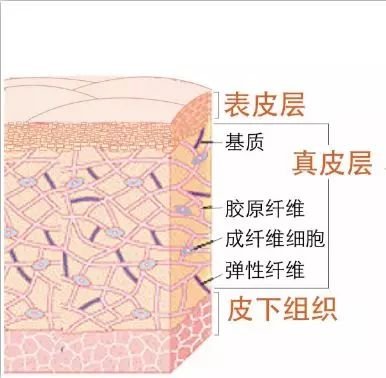 https://img.miyanlife.com/mnt/timg/180502/104114DX-7.jpg