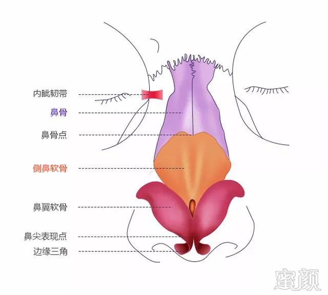 案例图片