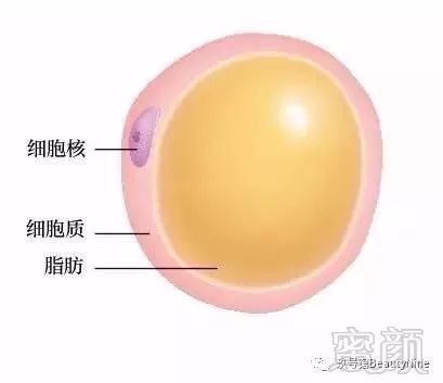 https://img.miyanlife.com/mnt/timg/180503/1053492102-4.jpg