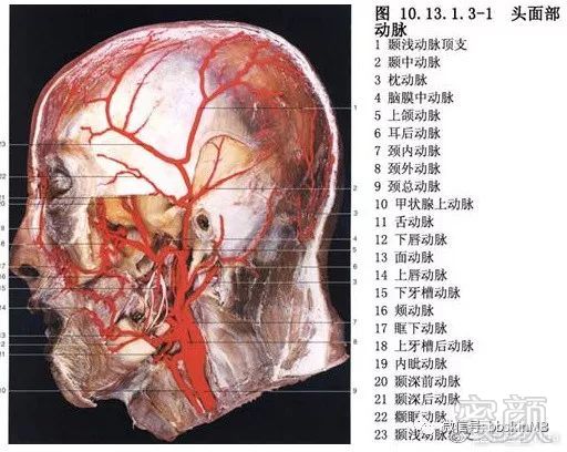 https://img.miyanlife.com/mnt/timg/180503/1145202442-1.jpg