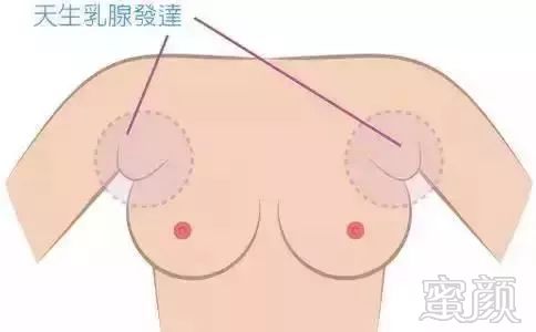 https://img.miyanlife.com/mnt/timg/180503/1253003091-3.jpg