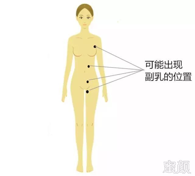 https://img.miyanlife.com/mnt/timg/180503/1253005318-2.jpg