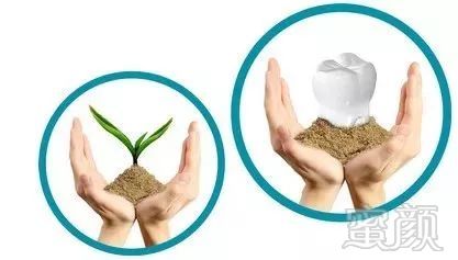 https://img.miyanlife.com/mnt/timg/180503/12560W1Y-5.jpg