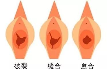 https://img.miyanlife.com/mnt/timg/180506/151I94C7-1.jpg