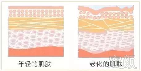 https://img.miyanlife.com/mnt/timg/180507/1029513946-0.jpg