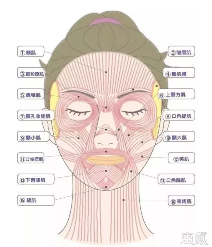 https://img.miyanlife.com/mnt/timg/180507/11563C423-8.jpg