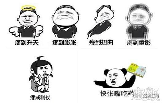 https://img.miyanlife.com/mnt/timg/180508/110I524Q-4.jpg
