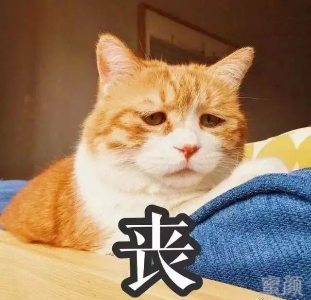 https://img.miyanlife.com/mnt/timg/180508/114H1H61-4.jpg